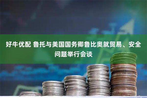 好牛优配 鲁托与美国国务卿鲁比奥就贸易、安全问题举行会谈