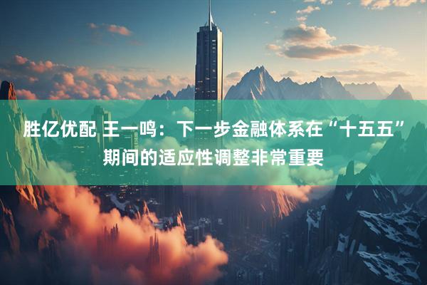 胜亿优配 王一鸣：下一步金融体系在“十五五”期间的适应性调整非常重要