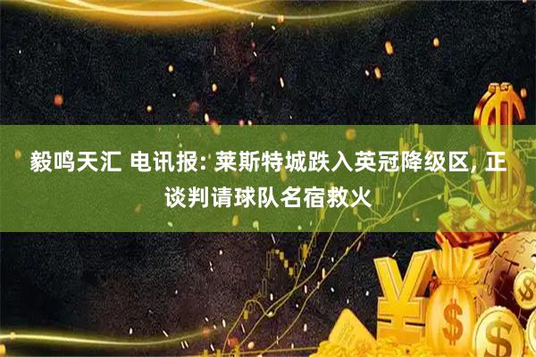 毅鸣天汇 电讯报: 莱斯特城跌入英冠降级区, 正谈判请球队名宿救火